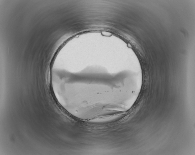 X0000110971275200907310922