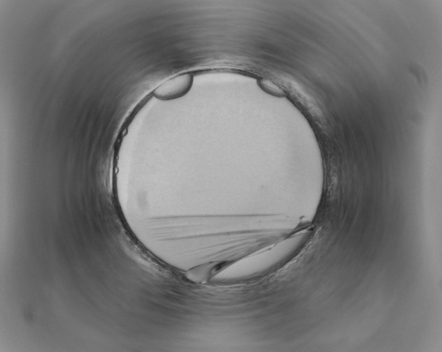X0000110971276200907310922