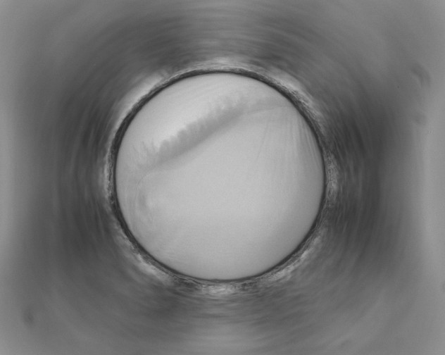 X0000110971278200907310922