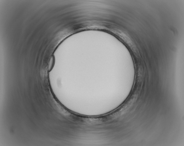X0000110971281200907310922