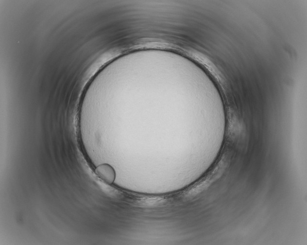 X0000110971282200907310922