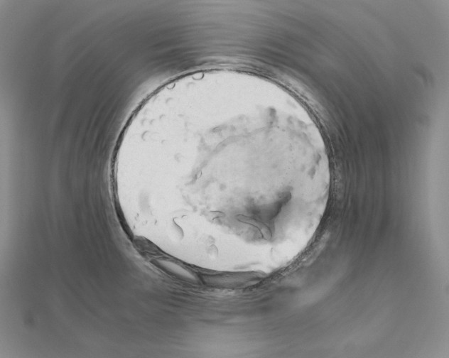 X0000110971283200907310922