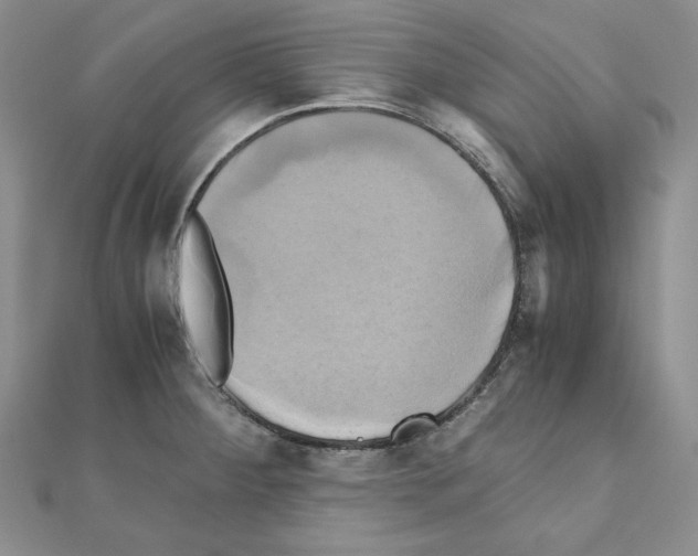 X0000110971284200907310922