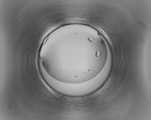 X0000110971285200907310921