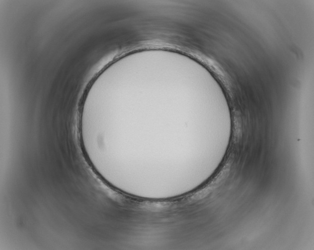 X0000110971286200907310921