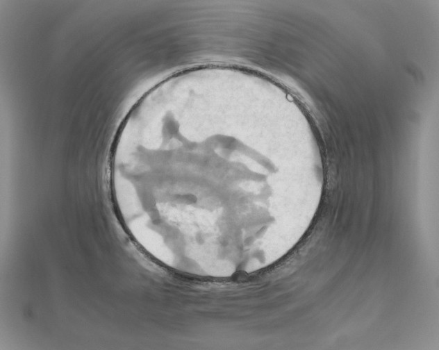 X0000110971287200907310921