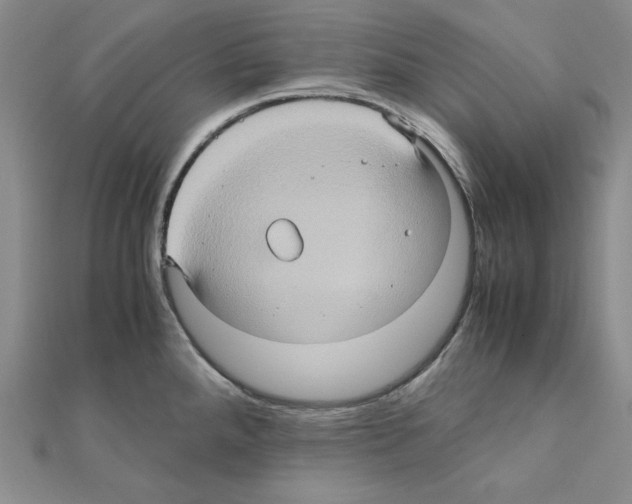 X0000110971288200907310921