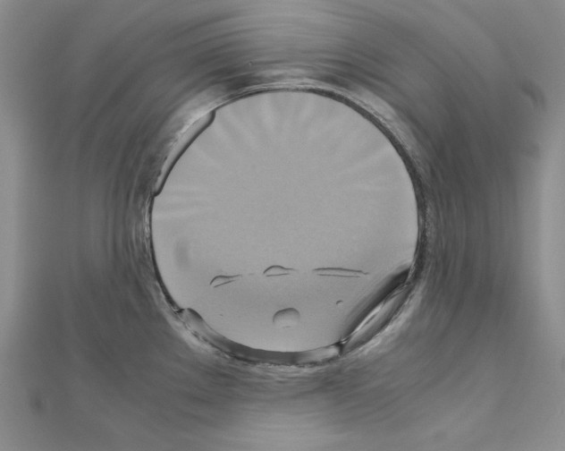 X0000110971289200907310921