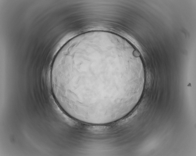 X0000110971290200907310921