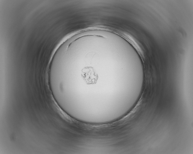 X0000110971292200907310921