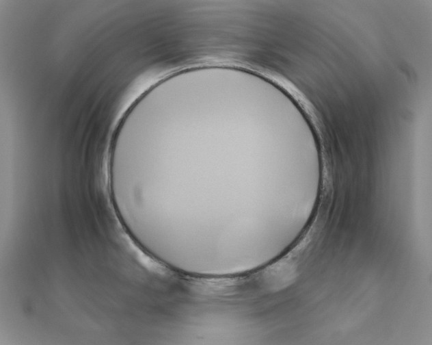 X0000110971294200907310921