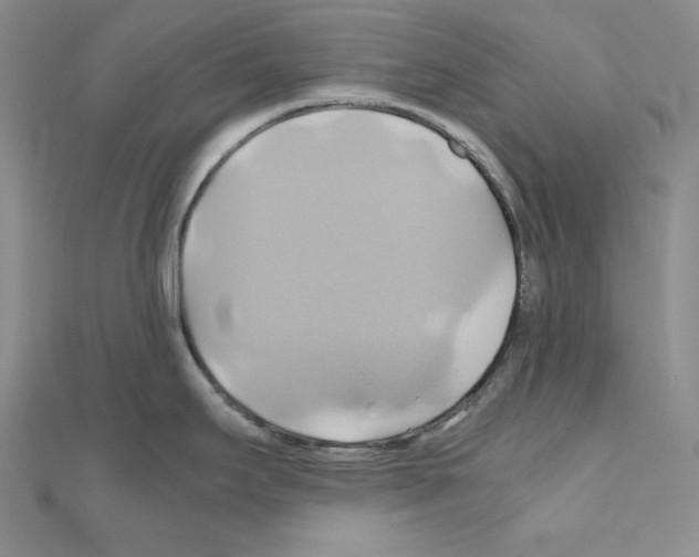 X0000110971295200907310921