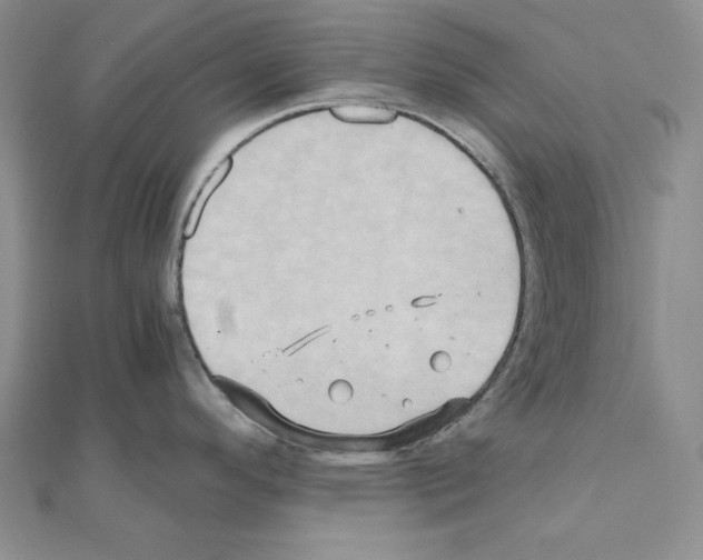 X0000110971296200907310921