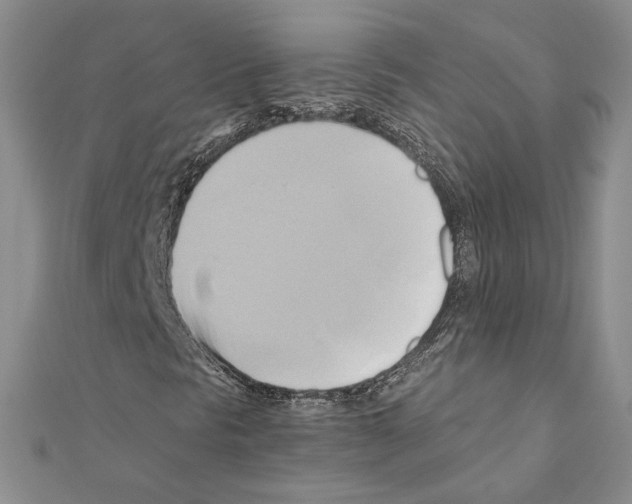 X0000110971297200907310921
