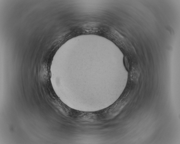 X0000110971298200907310921