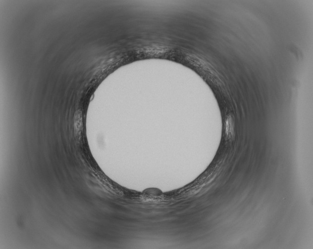 X0000110971299200907310921