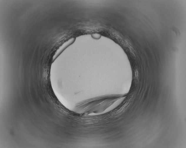 X0000110971300200907310921