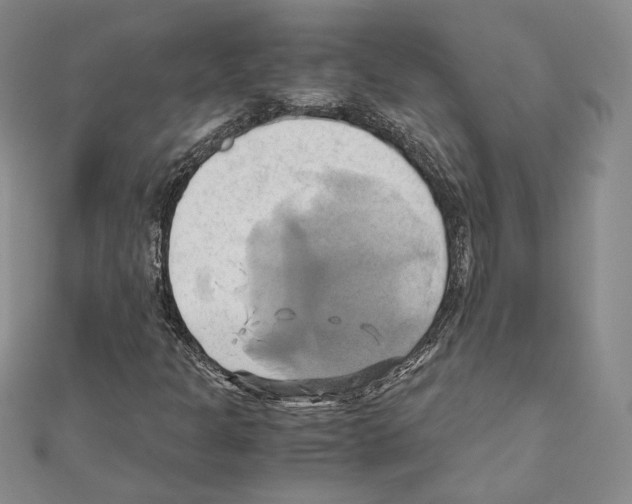 X0000110971301200907310921