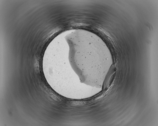 X0000110971305200907310921