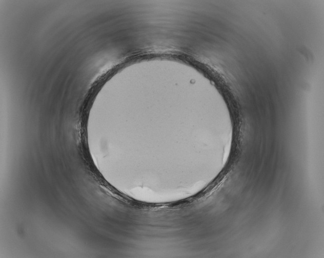 X0000110971306200907310921