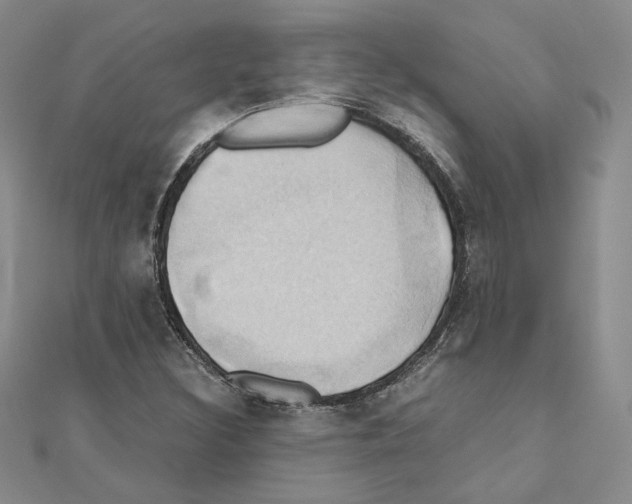 X0000110971308200907310921