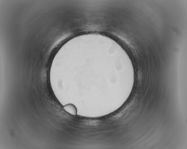 X0000110971309200907310921