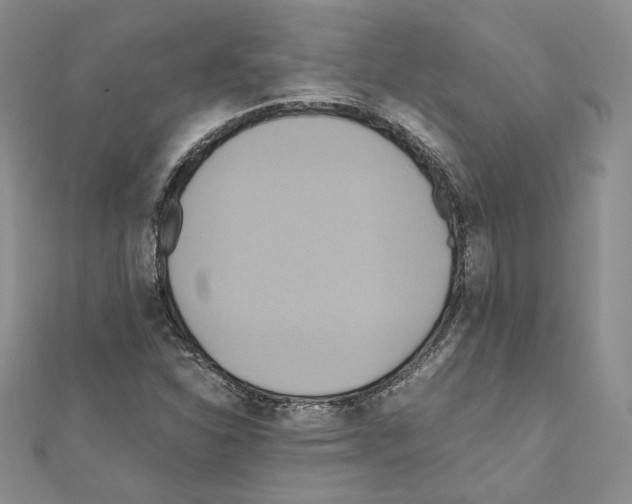X0000110971310200907310921