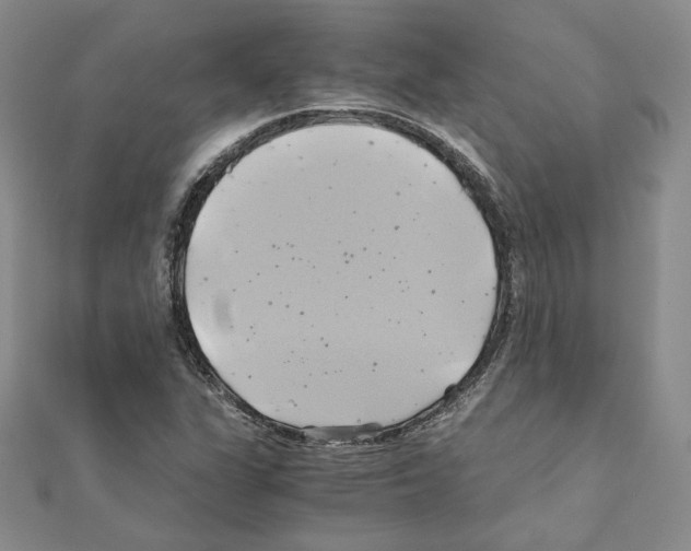 X0000110971311200907310921