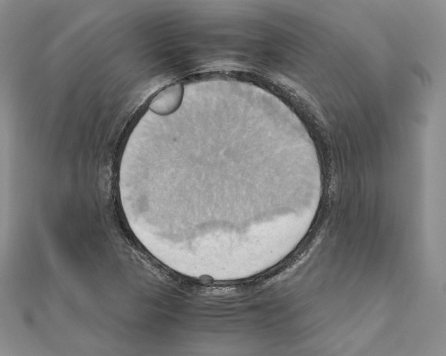 X0000110971313200907310921