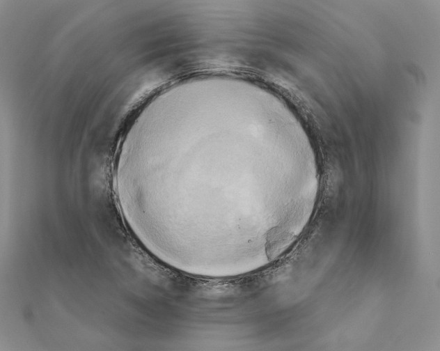 X0000110971314200907310921