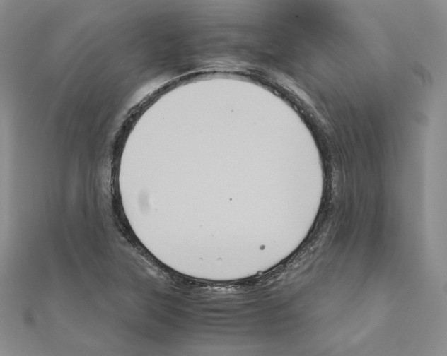 X0000110971315200907310921