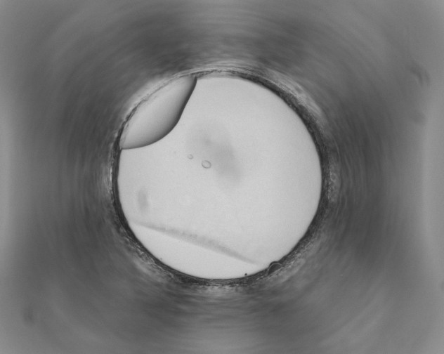 X0000110971316200907310921