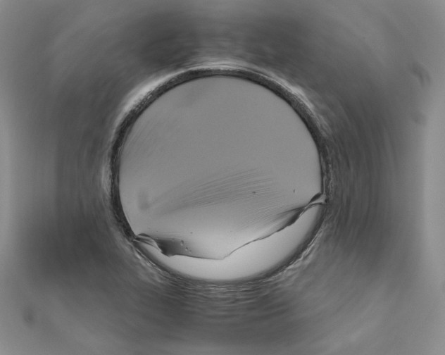X0000110971319200907310921