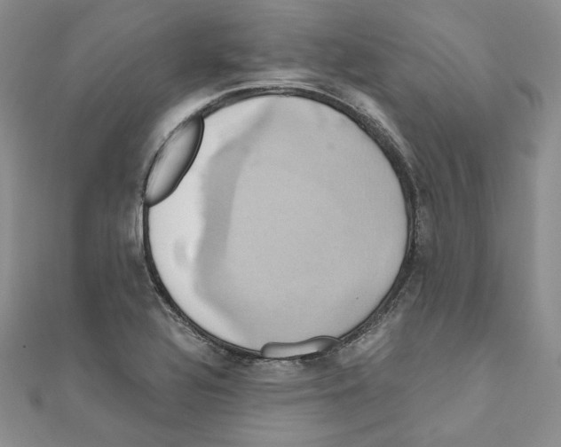 X0000110971320200907310921