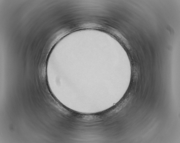 X0000110971322200907310921