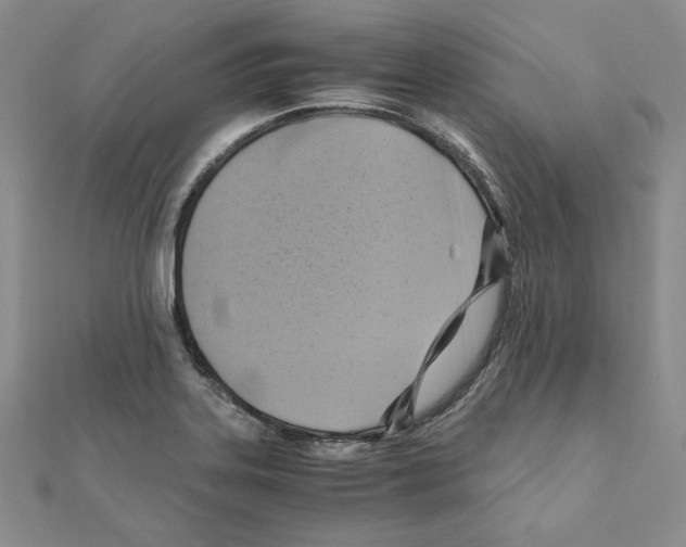 X0000110971323200907310921