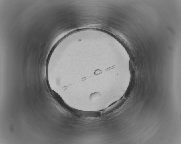 X0000110971324200907310921