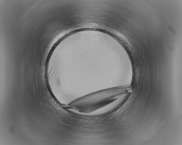 X0000110971326200907310921