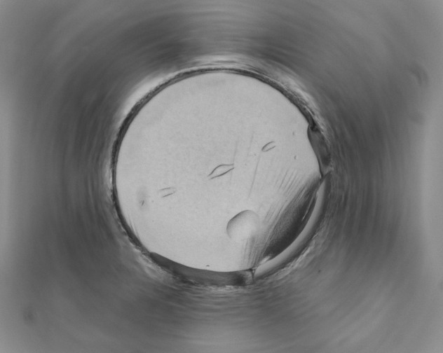 X0000110971328200907310921