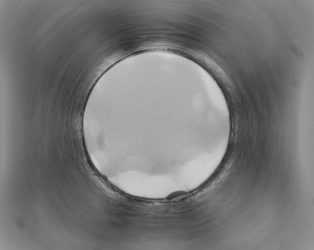 X0000110971329200907310921