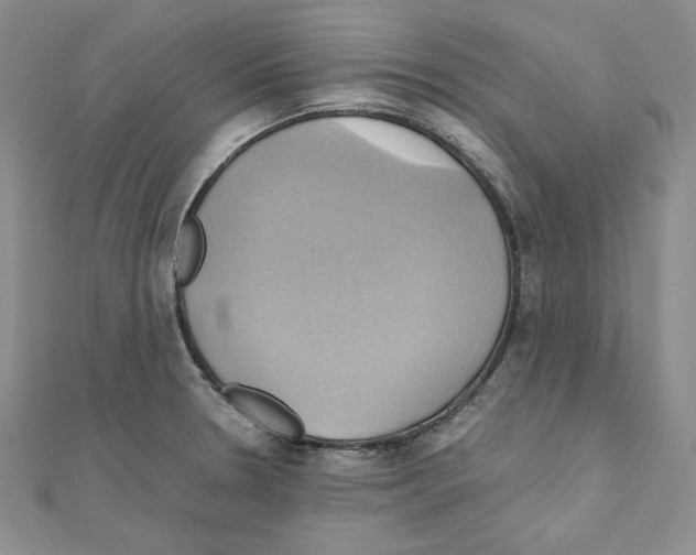 X0000110971330200907310921