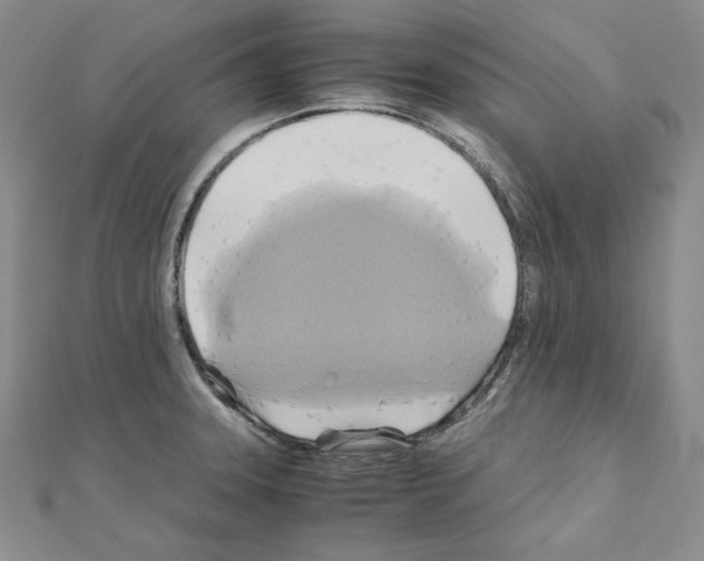 X0000110971331200907310921