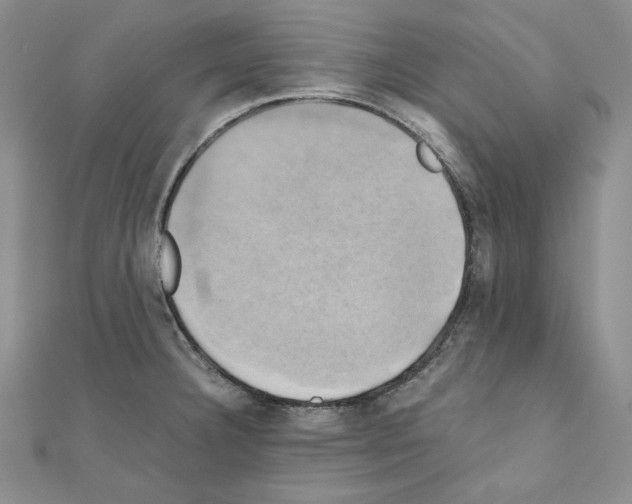 X0000110971332200907310921
