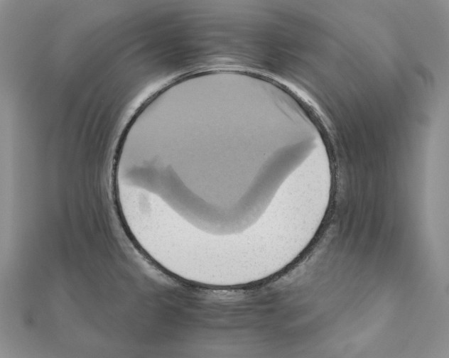 X0000110971333200907310921