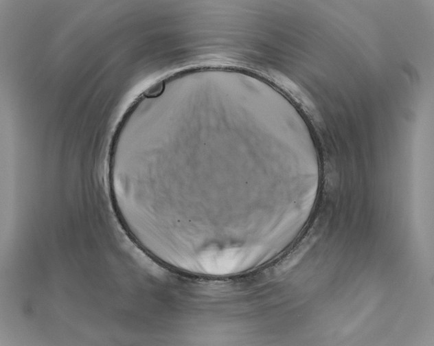 X0000110971334200907310921
