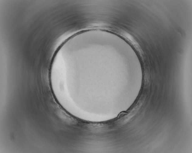 X0000110971336200907310921