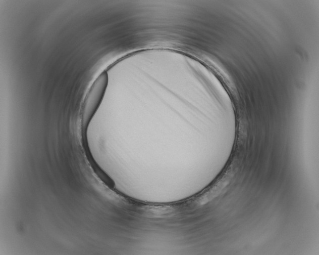 X0000110971340200907310921
