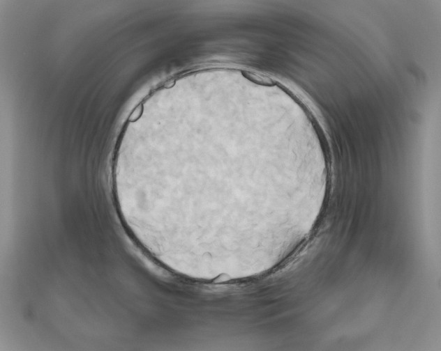 X0000110971341200907310921