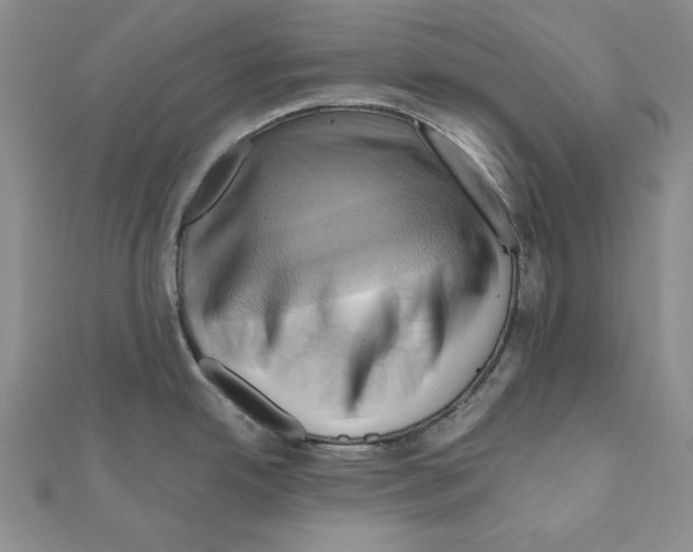X0000110971342200907310921