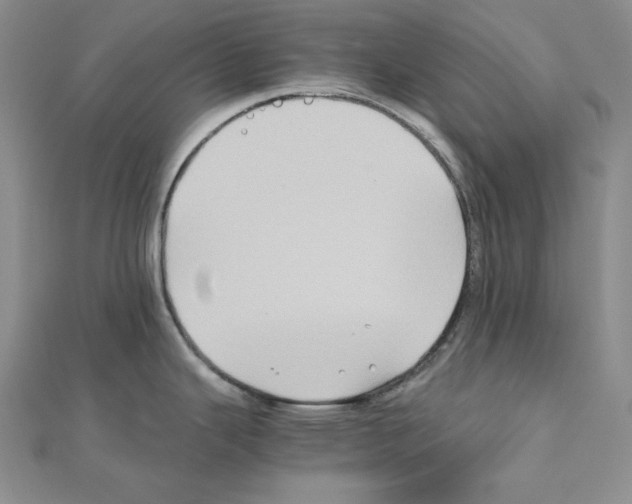 X0000110971343200907310921